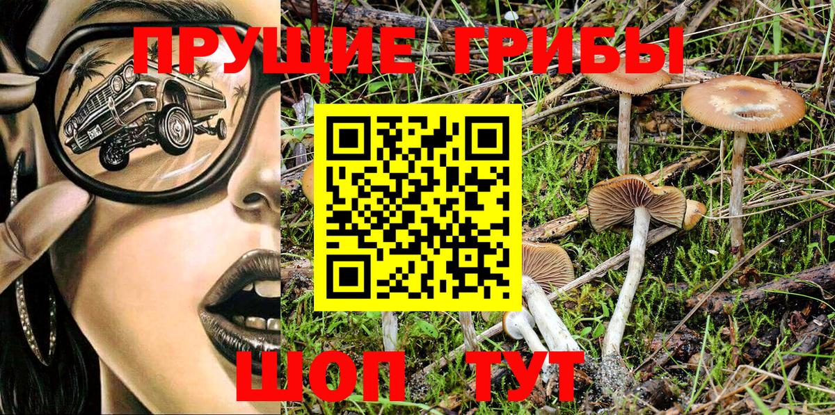 Псилоцибиновые грибы Cubensis Карталы